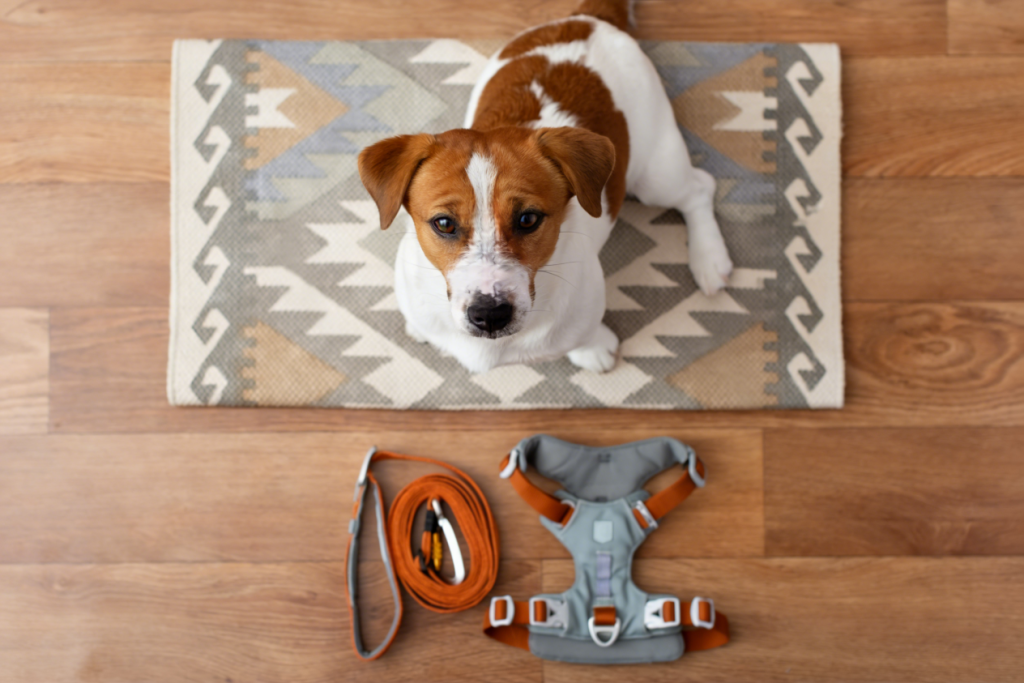 Pet Care Essentials